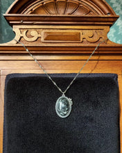 Last inn bildet i Galleri-visningsprogrammet, Gabbro med krans